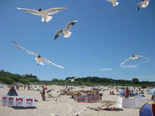 plaża